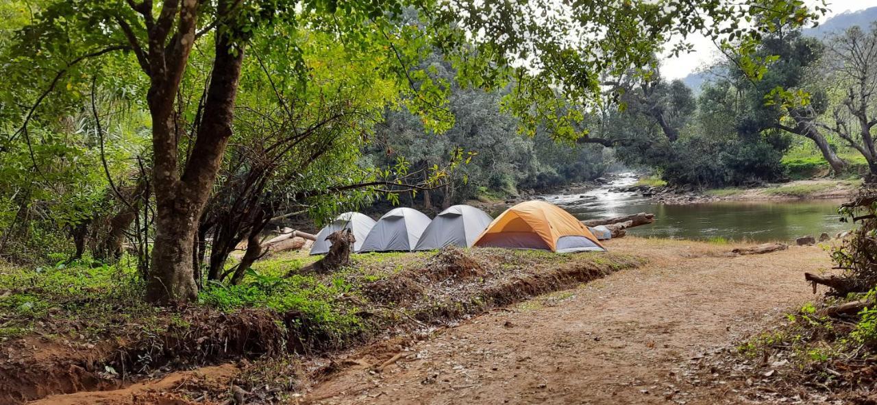 Coorg River Rock Camping Madikeri Exterior foto